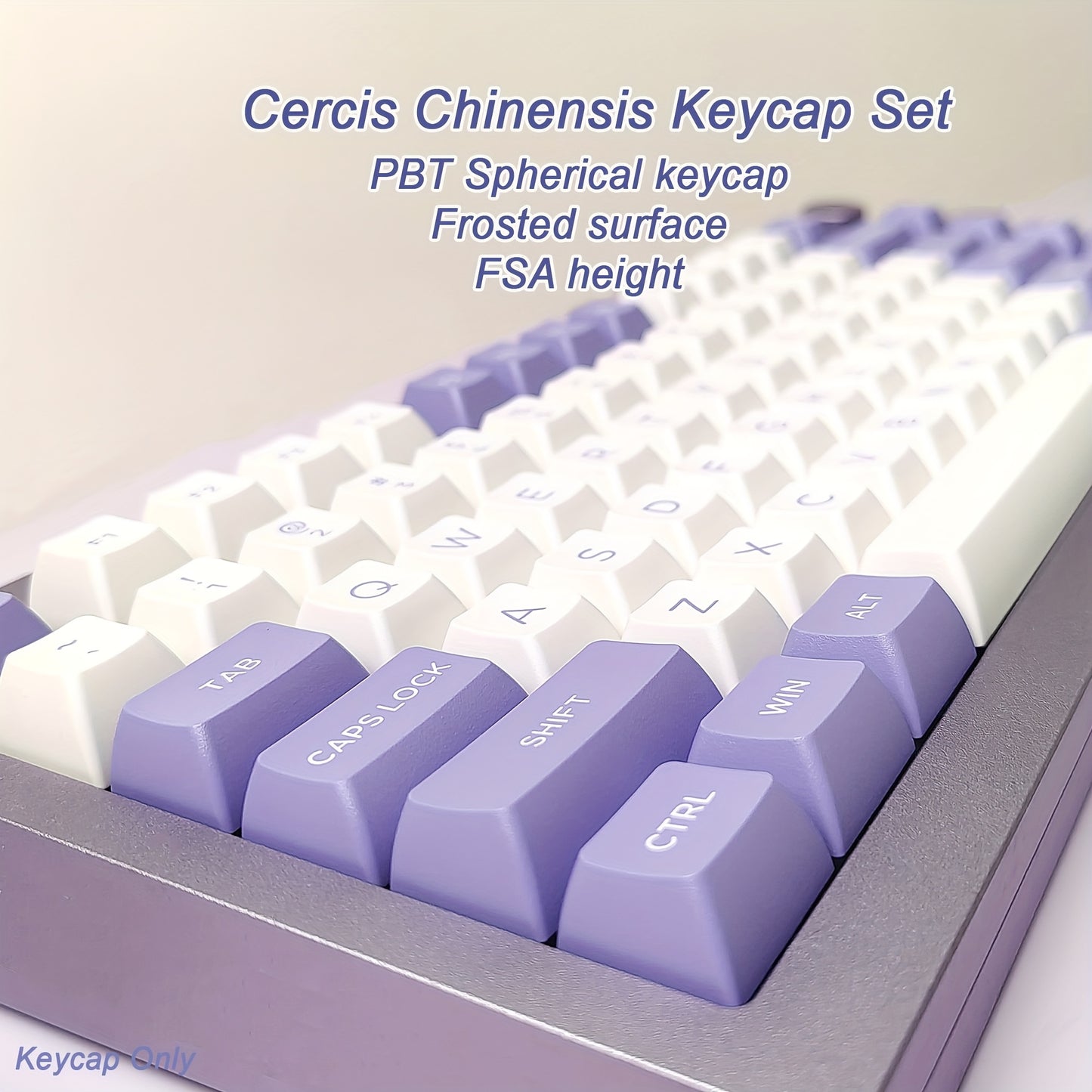 紫绿球形键帽 - 164键FSA高度 PBT双色注塑 人体工学机械键盘键帽