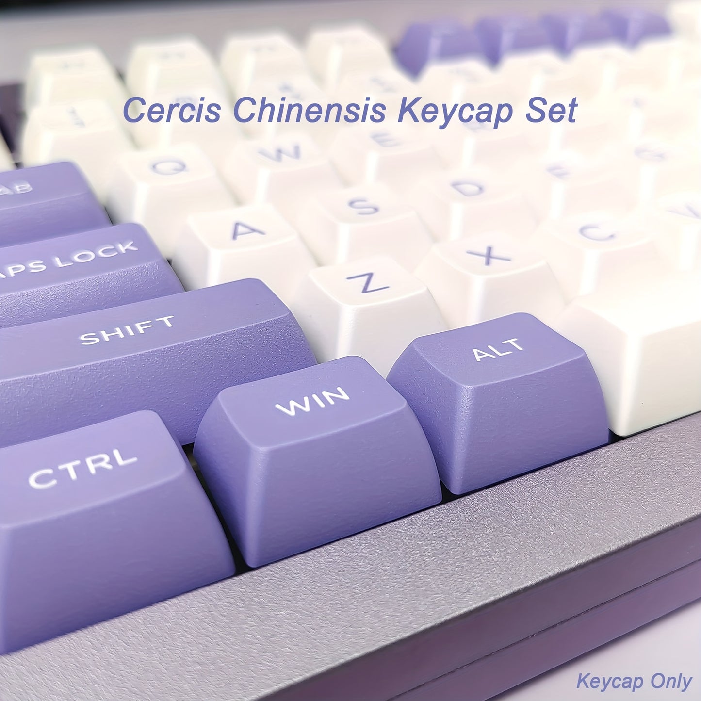 紫绿球形键帽 - 164键FSA高度 PBT双色注塑 人体工学机械键盘键帽